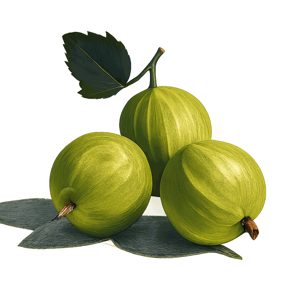Gooseberry