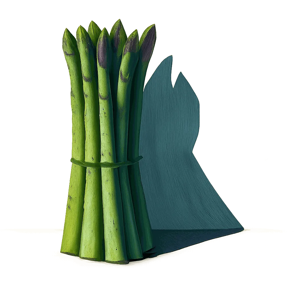 Asparagus