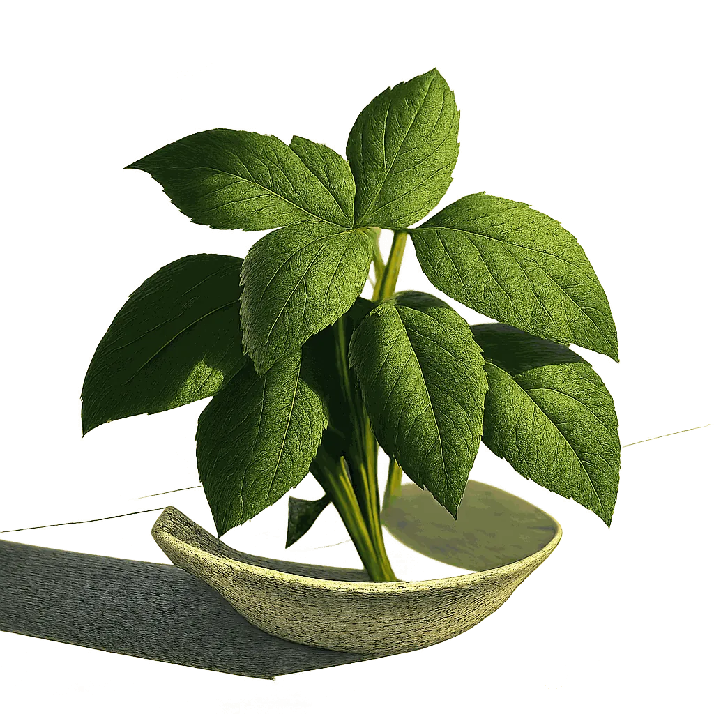 Basil