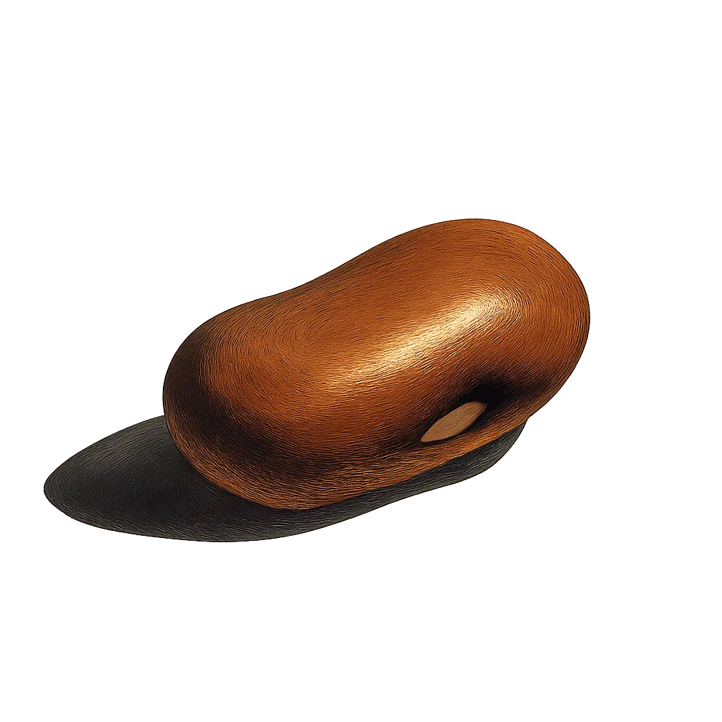 Bean