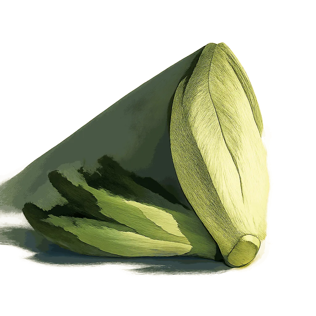 Chicory
