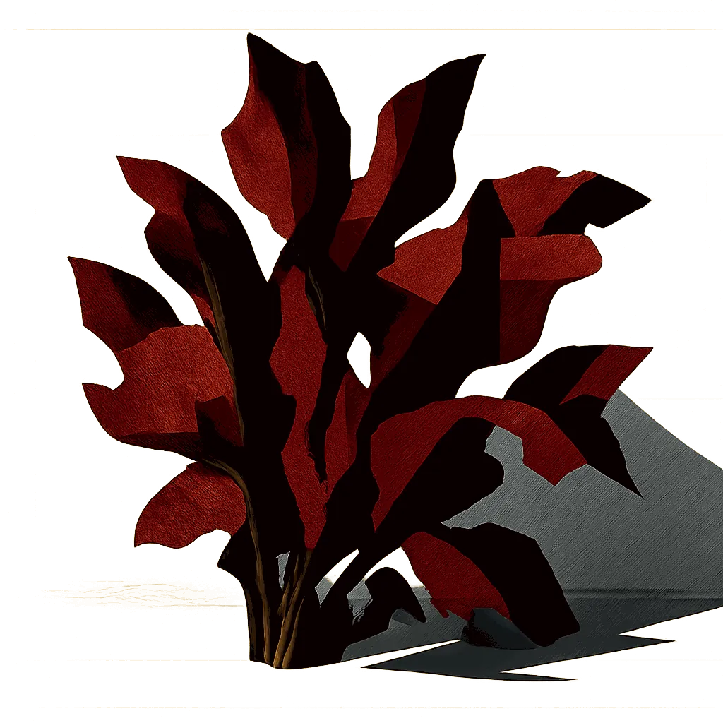 Dulse