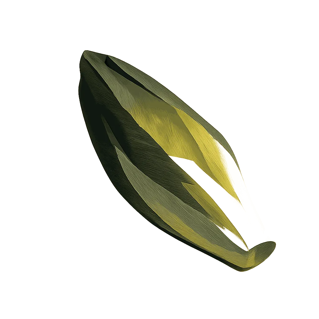 Endive