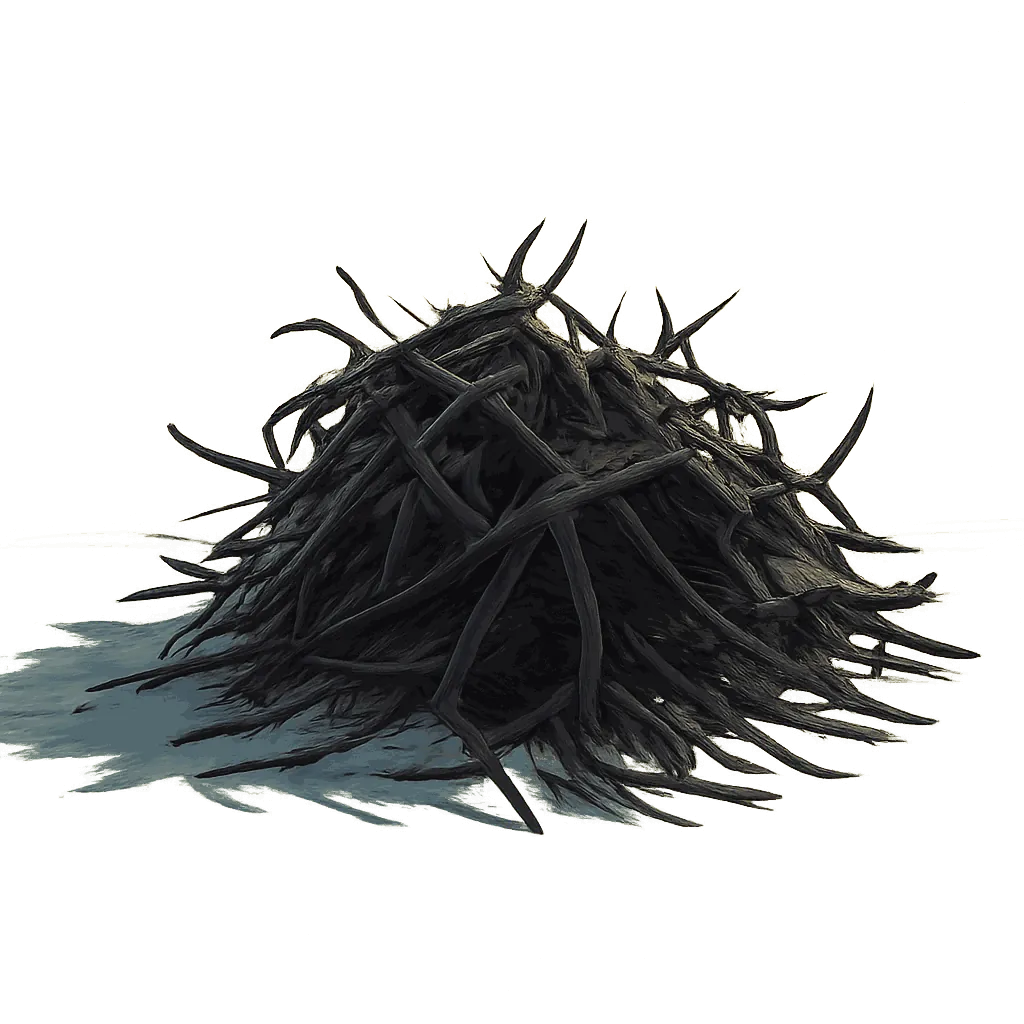 Hijiki