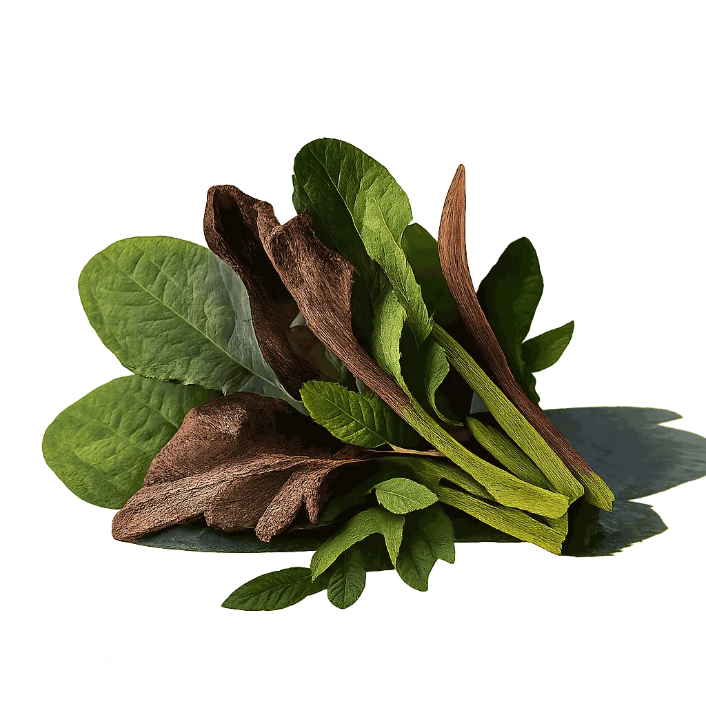 Mesclun