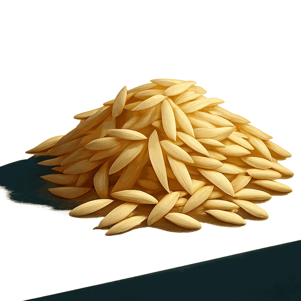 Orzo