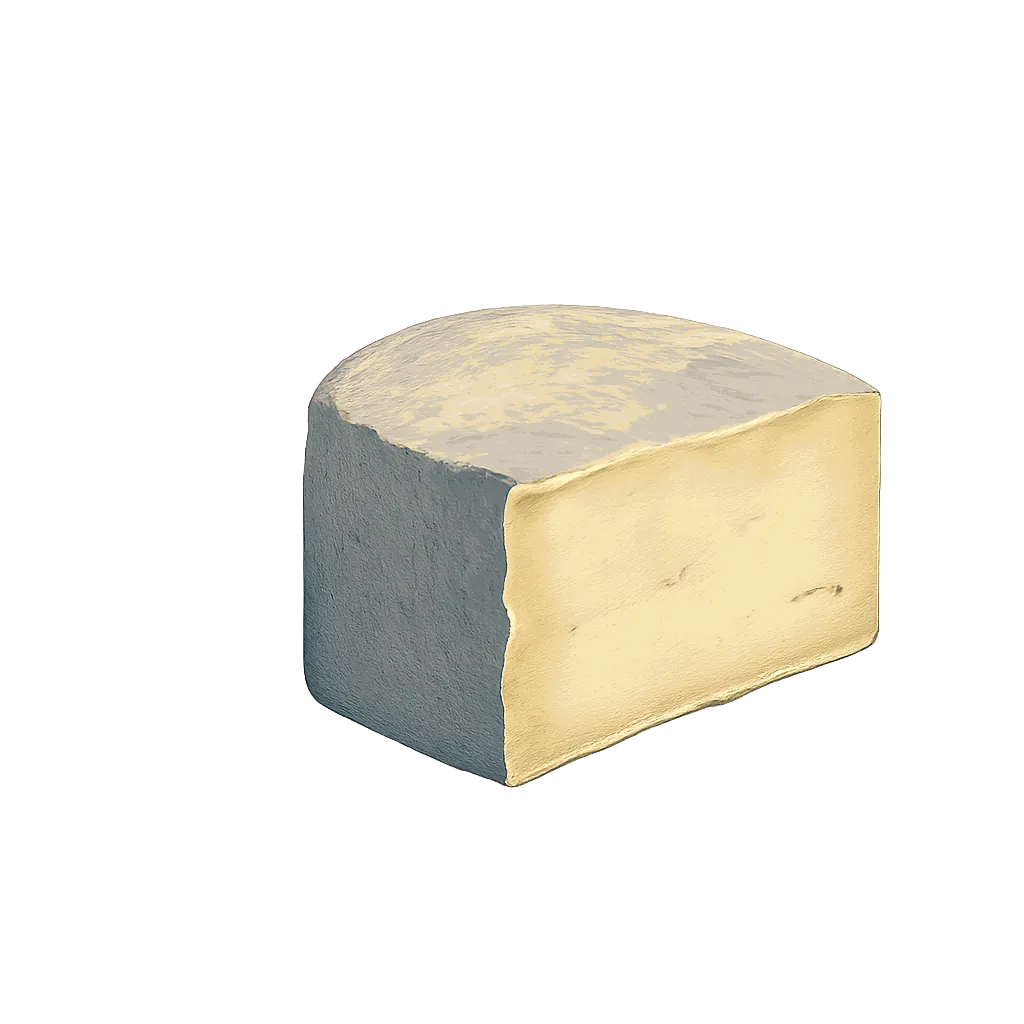 Robiola