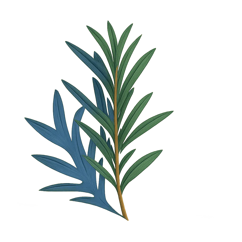 Rosemary