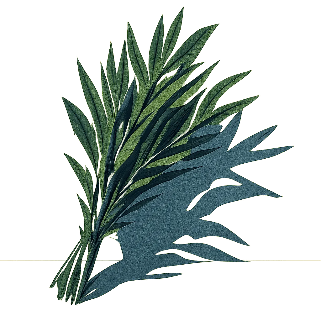 Tarragon