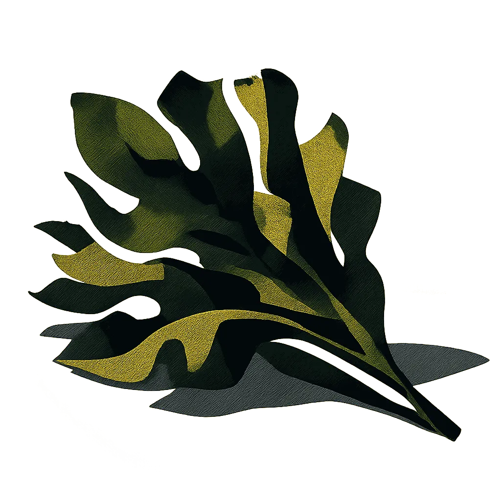 Wakame